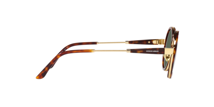 Giorgio Armani Sunglasses AR6133 301371