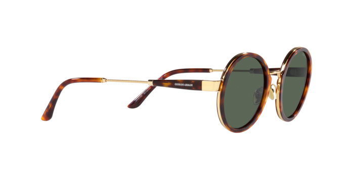 Giorgio Armani Sunglasses AR6133 301371