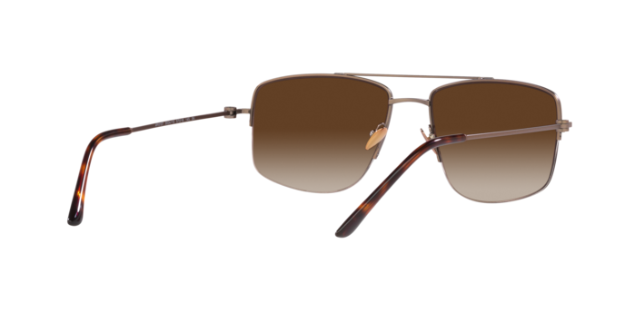 Giorgio Armani Sunglasses AR6137 300413