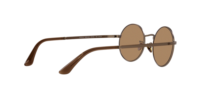 Giorgio Armani Sunglasses AR6140 3006M4