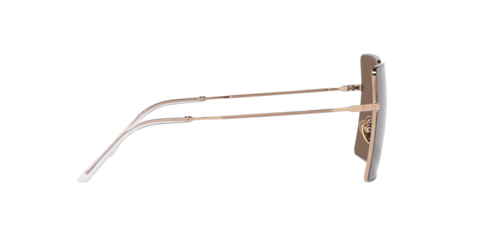 Giorgio Armani Sunglasses AR6143 301173