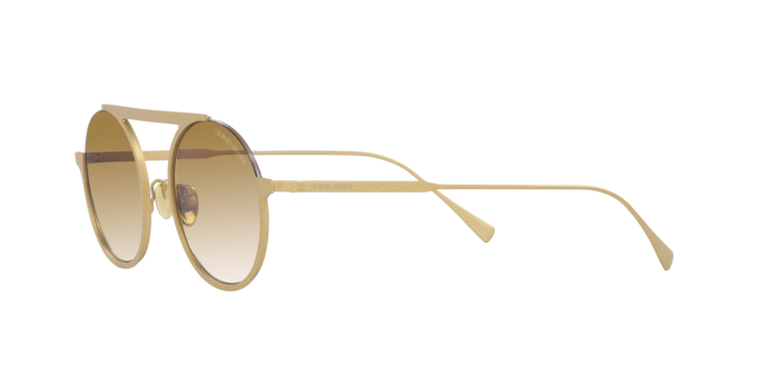 Giorgio Armani Sunglasses AR6146 335013