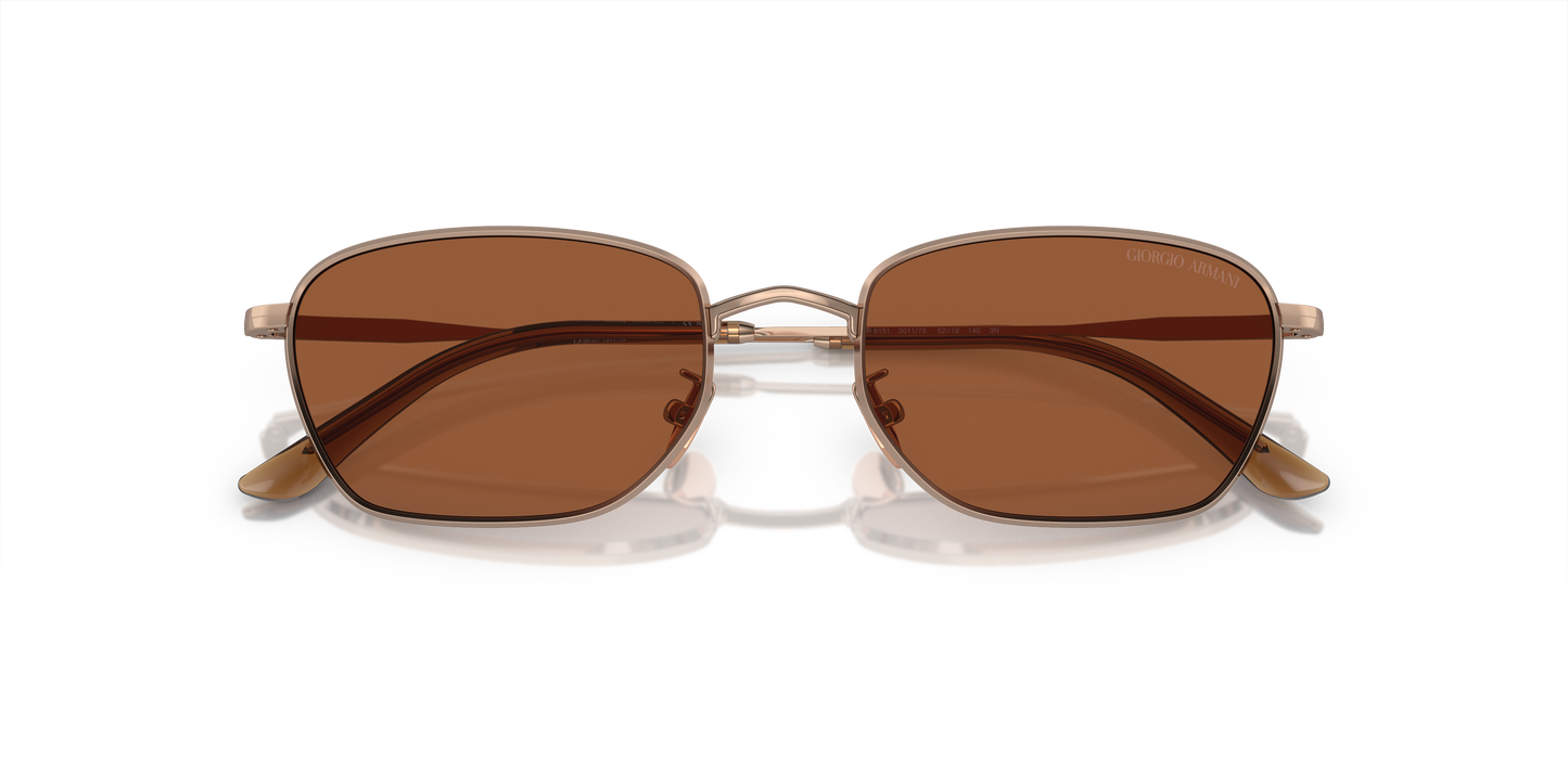 Giorgio Armani Sunglasses AR6151 301173