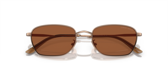 Giorgio Armani Sunglasses AR6151 301173