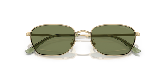 Giorgio Armani Sunglasses AR6151 30132A