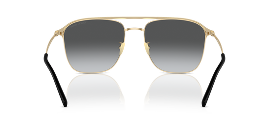 Giorgio Armani Sunglasses AR6154 3013T3