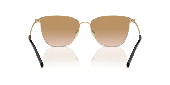 Giorgio Armani Sunglasses AR6155 301313