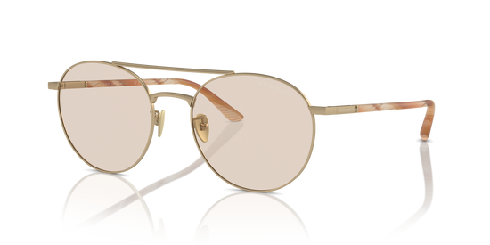 Giorgio Armani Sunglasses AR6156 3002M4