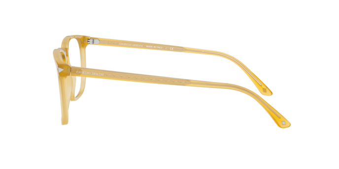 Giorgio Armani Eyeglasses AR7193 5027