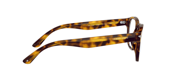 Giorgio Armani Eyeglasses AR7194 5092