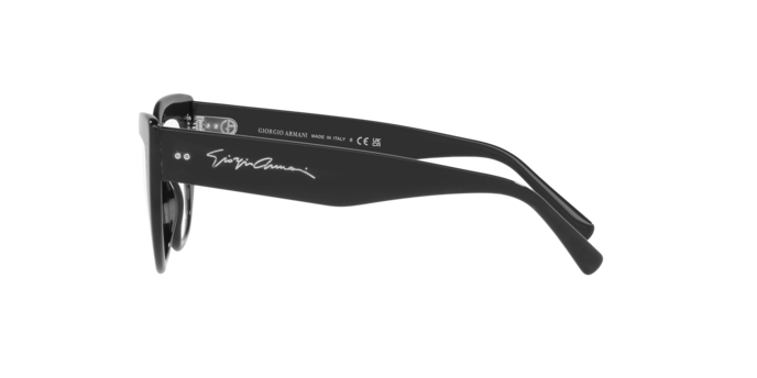 Giorgio Armani Eyeglasses AR7231 5001