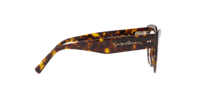 Giorgio Armani Eyeglasses AR7231 5026