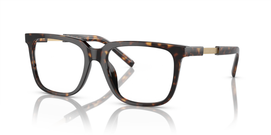 Giorgio Armani Eyeglasses AR7252U 5879