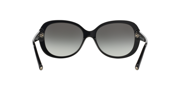 Giorgio Armani Sunglasses AR8047 501711