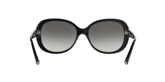 Giorgio Armani Sunglasses AR8047 501711