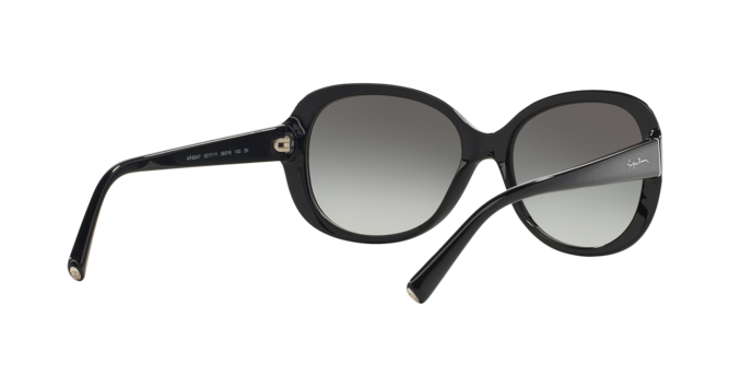 Giorgio Armani Sunglasses AR8047 501711