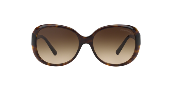 Giorgio Armani Sunglasses AR8047 502613