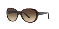 Giorgio Armani AR8047 502613