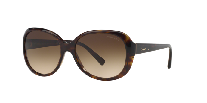 Giorgio Armani Sunglasses AR8047 502613