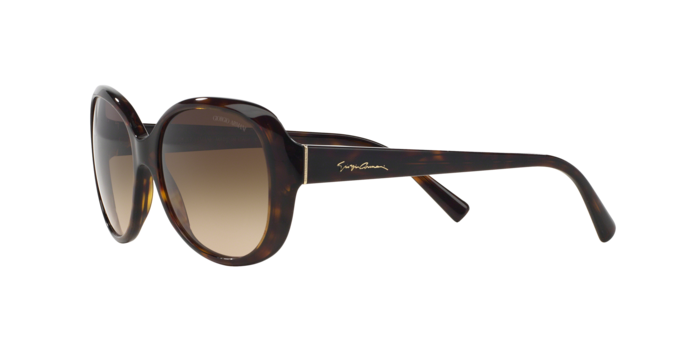 Giorgio Armani Sunglasses AR8047 502613