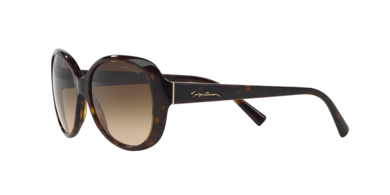 Giorgio Armani Sunglasses AR8047 502613