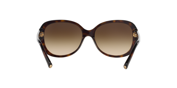 Giorgio Armani Sunglasses AR8047 502613