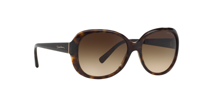 Giorgio Armani Sunglasses AR8047 502613