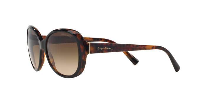 Giorgio Armani Sunglasses AR8047 504913