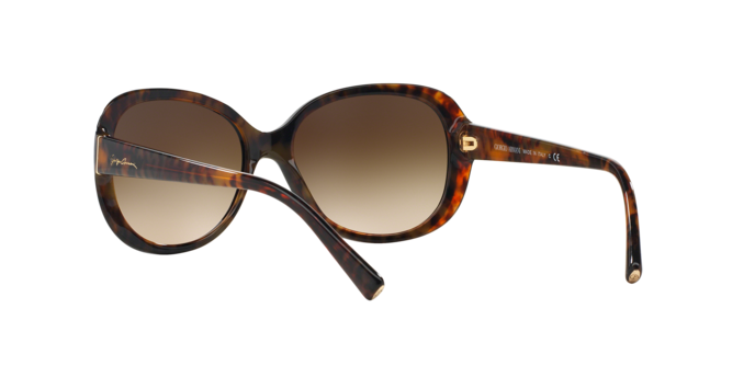 Giorgio Armani Sunglasses AR8047 504913