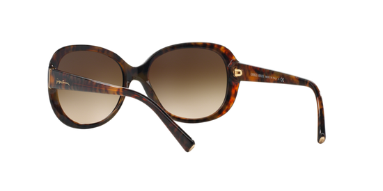 Giorgio Armani Sunglasses AR8047 504913