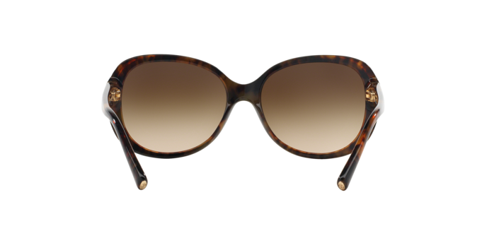 Giorgio Armani Sunglasses AR8047 504913