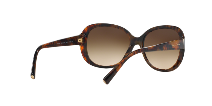 Giorgio Armani Sunglasses AR8047 504913