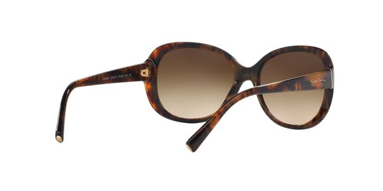 Giorgio Armani Sunglasses AR8047 504913