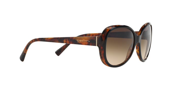 Giorgio Armani Sunglasses AR8047 504913