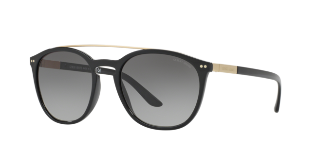 Giorgio Armani Sunglasses AR8088 501711