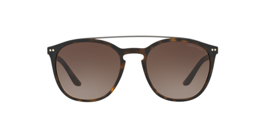 Giorgio Armani Sunglasses AR8088 508913