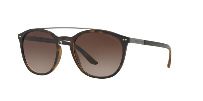 Giorgio Armani Sunglasses AR8088 508913