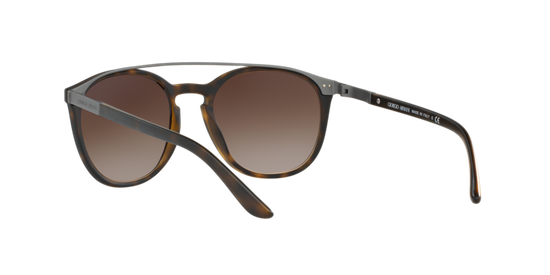 Giorgio Armani Sunglasses AR8088 508913