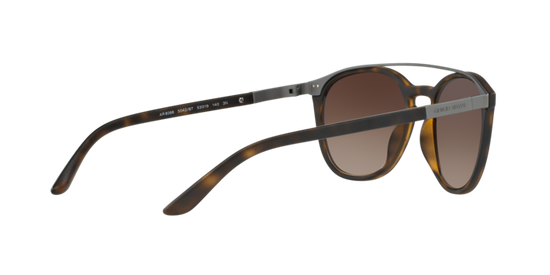 Giorgio Armani Sunglasses AR8088 508913