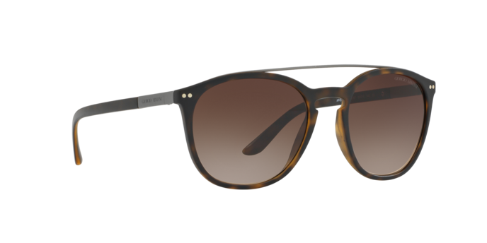 Giorgio Armani Sunglasses AR8088 508913