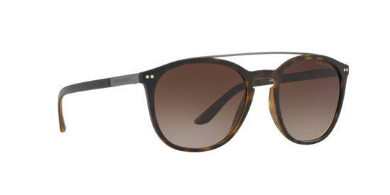 Giorgio Armani Sunglasses AR8088 508913