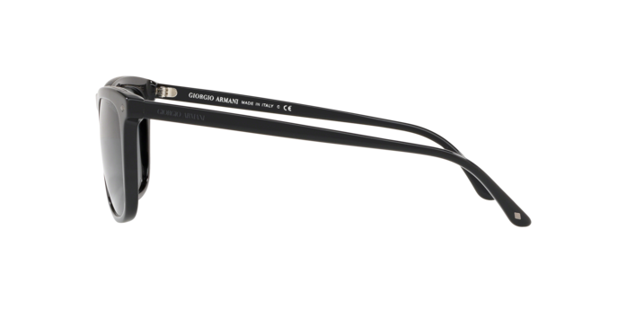 Giorgio Armani Sunglasses AR8107 5017R5