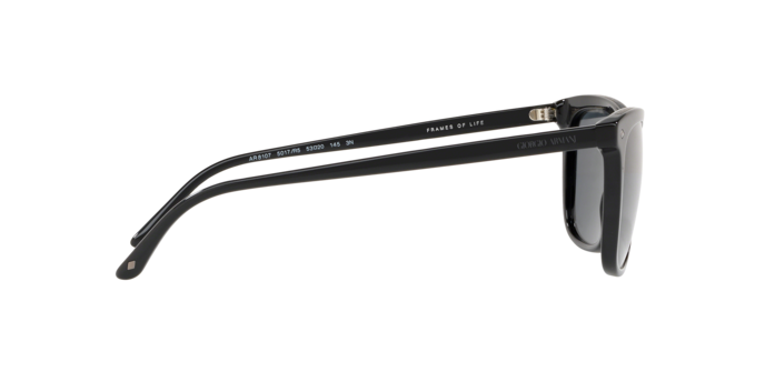 Giorgio Armani Sunglasses AR8107 5017R5