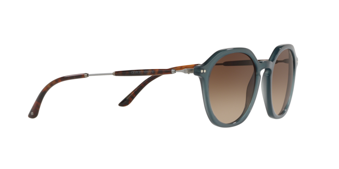 Giorgio Armani Sunglasses AR8109 568013