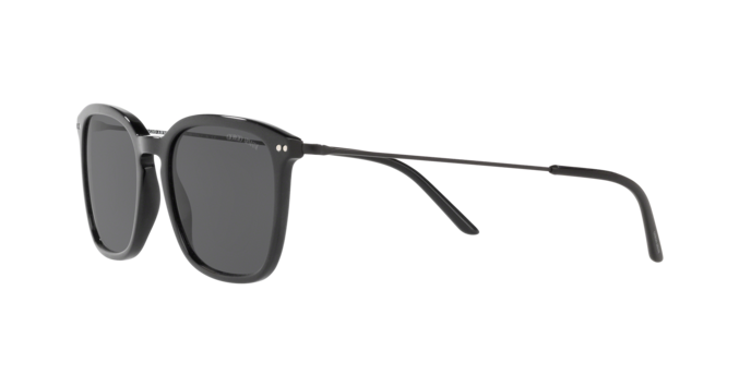 Giorgio Armani Sunglasses AR8111 500187