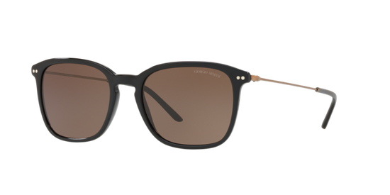 Giorgio Armani Sunglasses AR8111 501773