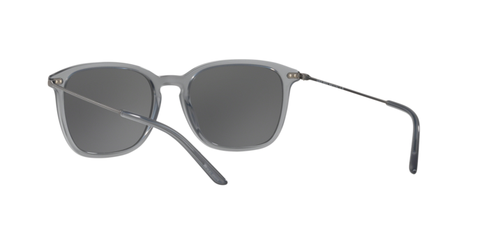 Giorgio Armani Sunglasses AR8111 568187