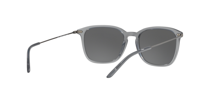 Giorgio Armani Sunglasses AR8111 568187