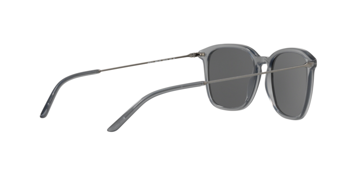 Giorgio Armani Sunglasses AR8111 568187