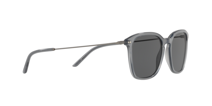Giorgio Armani Sunglasses AR8111 568187
